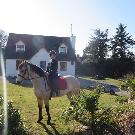 Letterfrack Farmhouse On Equestrian Farm In Letterfrack Beside Connemara National Park Tullywee Bridge Bagian luar foto