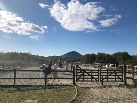 Letterfrack Farmhouse On Equestrian Farm In Letterfrack Beside Connemara National Park Tullywee Bridge Bagian luar foto