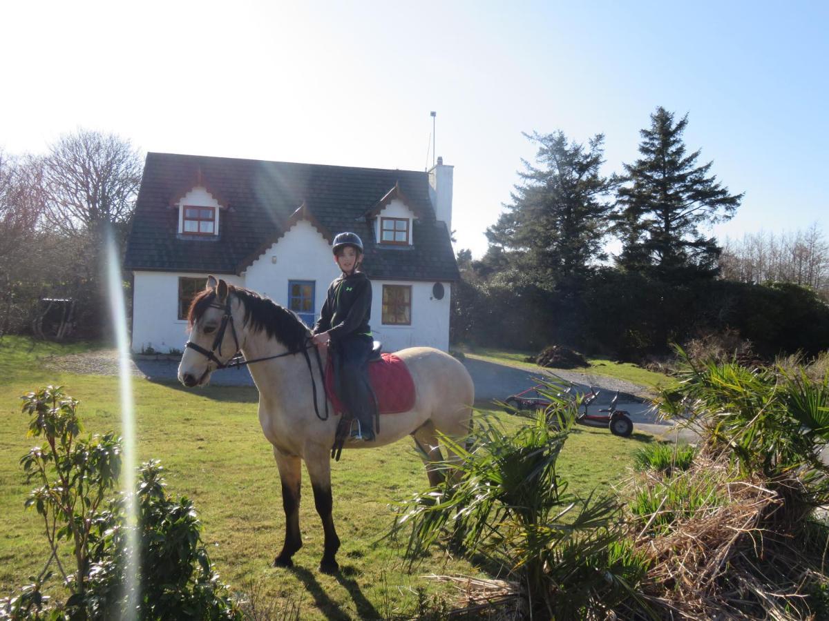Letterfrack Farmhouse On Equestrian Farm In Letterfrack Beside Connemara National Park Tullywee Bridge Bagian luar foto