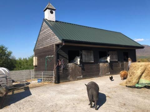 Letterfrack Farmhouse On Equestrian Farm In Letterfrack Beside Connemara National Park Tullywee Bridge Bagian luar foto