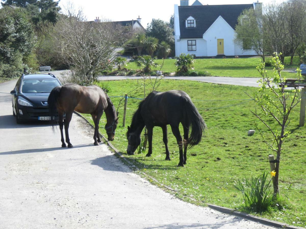 Letterfrack Farmhouse On Equestrian Farm In Letterfrack Beside Connemara National Park Tullywee Bridge Bagian luar foto