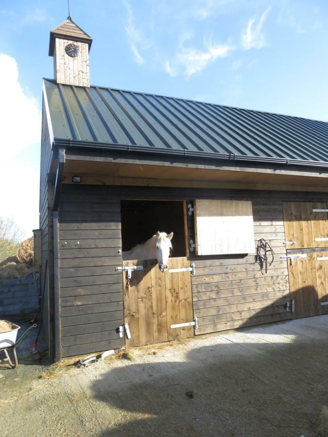 Letterfrack Farmhouse On Equestrian Farm In Letterfrack Beside Connemara National Park Tullywee Bridge Bagian luar foto